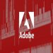 Discovering Adobe Shockwave Player: History, Features, and Applications