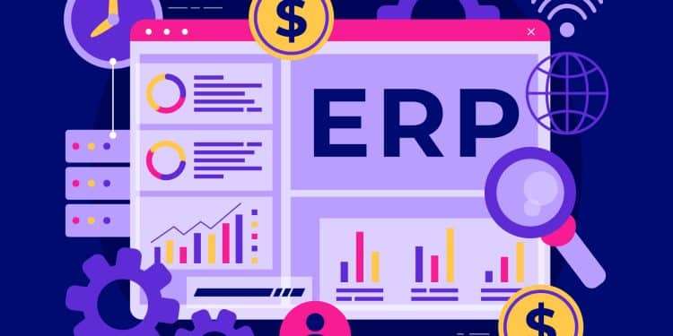 What is an ERP Specialist?