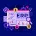 What is an ERP Specialist?